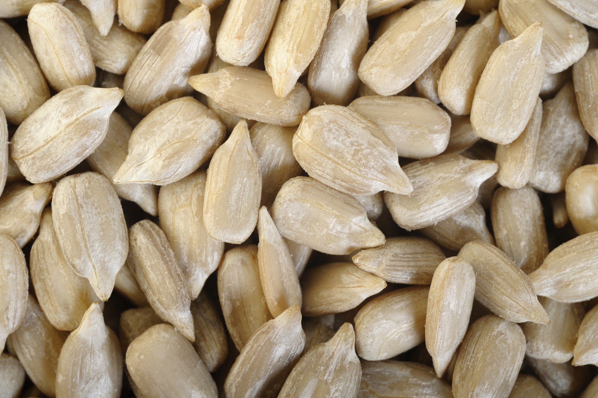 Organic Raw Hulled Sunflower Seeds Unsalted Sunflower Seeds